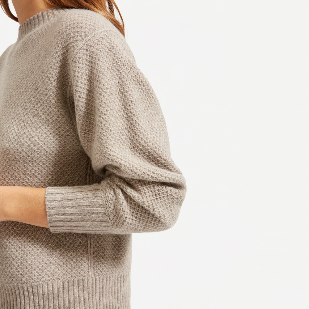 Everlane Stroopwafel Recashmere Crewneck